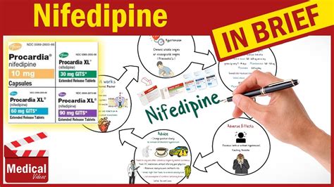 Nifedipine: Uses & Side Effects .